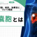 肝嚢胞とは|主な原因、症状、治療法について解説【医師監修】